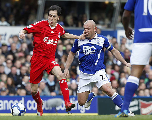 养了大量的 养了大量的