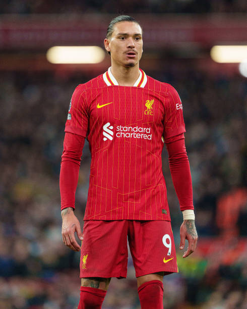 森林狼的防 森林狼的防